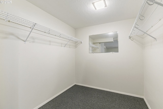 spacious closet with dark carpet