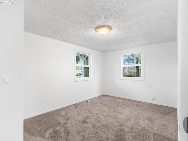 carpeted spare room with a textured ceiling and a wealth of natural light