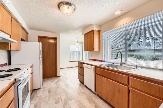 kitchen with sink, white appliances, hanging light fixtures, and a healthy amount of sunlight