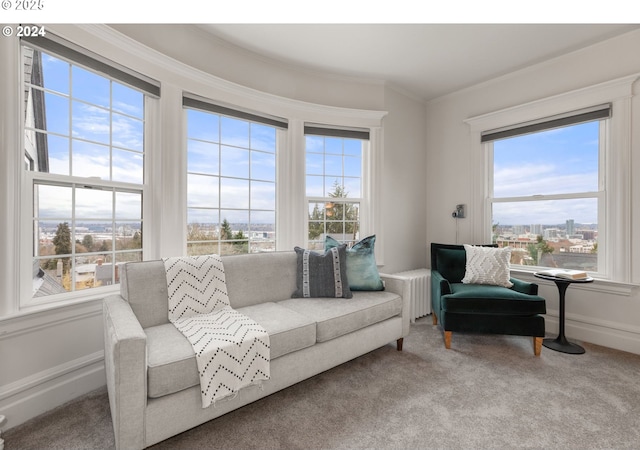 carpeted living room with a wealth of natural light and ornamental molding