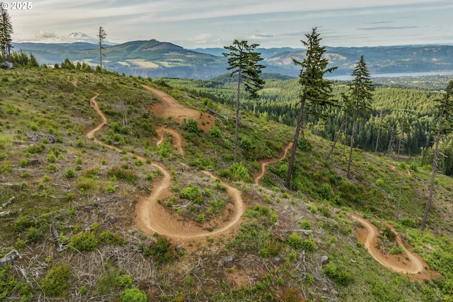 4719 Westwood Dr, Hood River, OR 97031 - mountain view