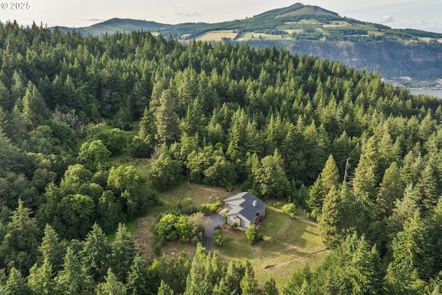 4719 Westwood Dr, Hood River, OR 97031 - view of subject property with a forest and mountains