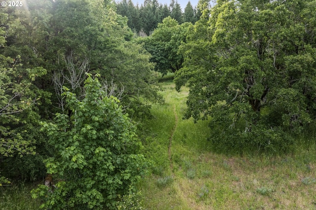 4719 Westwood Dr, Hood River, OR 97031 - view of wooded area