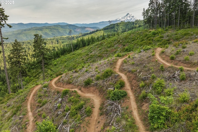 4719 Westwood Dr, Hood River, OR 97031 - view of mountain backdrop