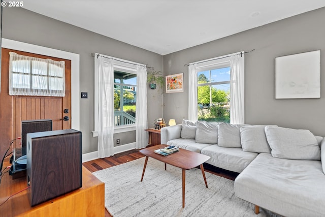 living room featuring wood finished floors, plenty of natural light, and baseboards