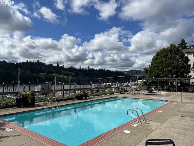 view of swimming pool with a patio area