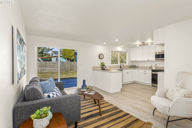 living room featuring sink and light hardwood / wood-style flooring