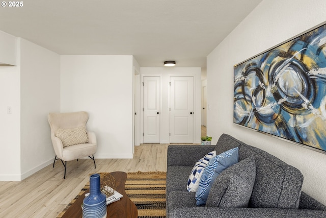 living area featuring wood-type flooring