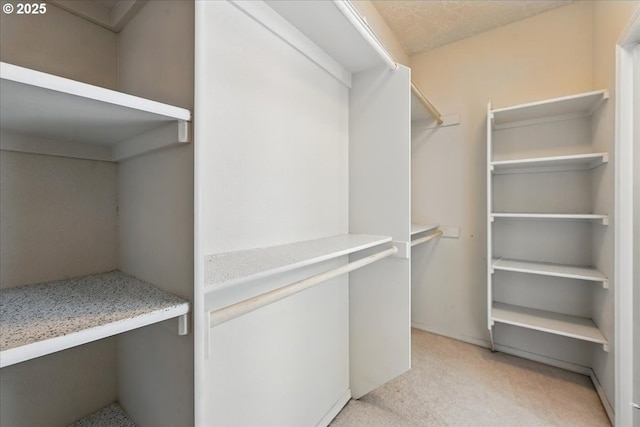 walk in closet with light carpet