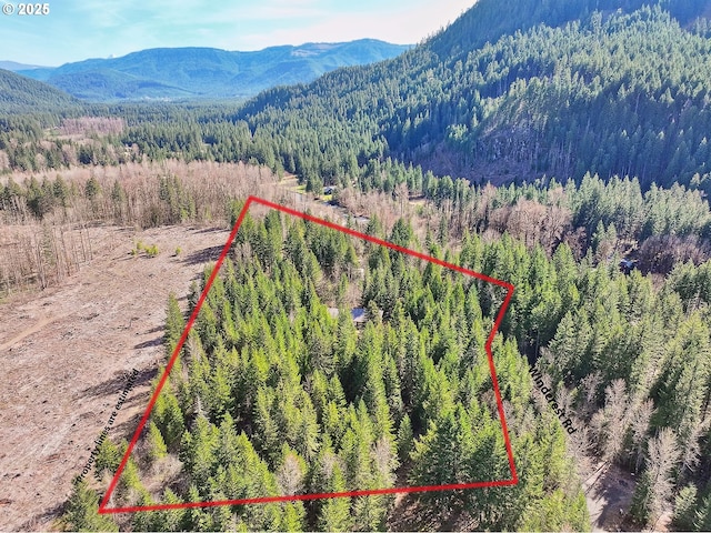 aerial overview of property's location with a forest, a mountain backdrop, and property boundaries highlighted
