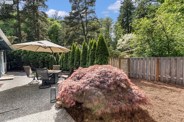 view of yard featuring outdoor dining area, a patio area, and fence