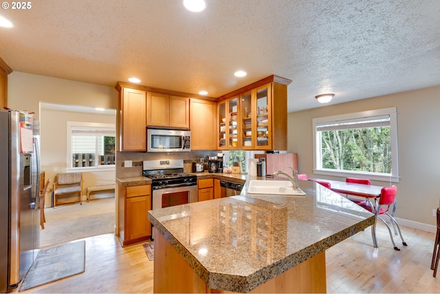 kitchen featuring glass insert cabinets, a peninsula, a sink, stainless steel appliances, and a wealth of natural light