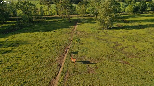 34949 Bond Rd, Lebanon, OR 97355 - view of grassy yard