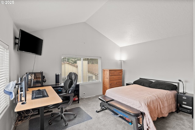 bedroom featuring carpet and vaulted ceiling