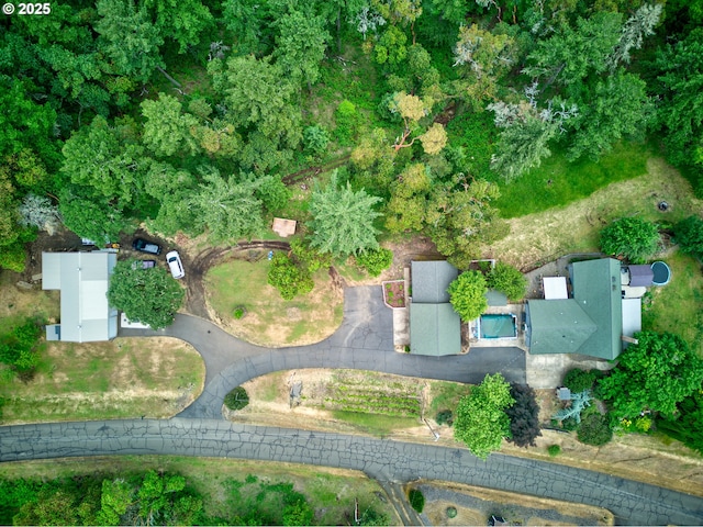 596 Sable Dr, Roseburg, OR 97470 - aerial view of property's location