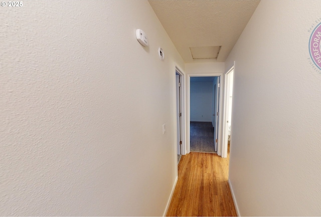 hallway with a textured ceiling and light hardwood / wood-style flooring