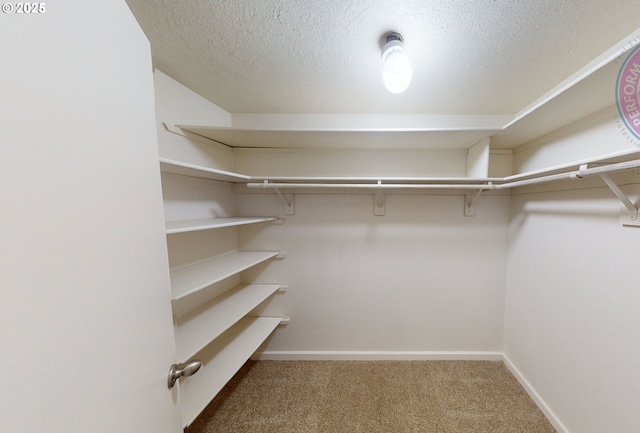 spacious closet with carpet flooring