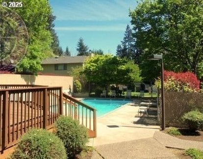 view of pool featuring a patio