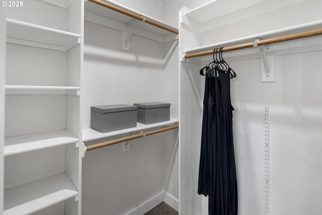 walk in closet with hardwood / wood-style flooring