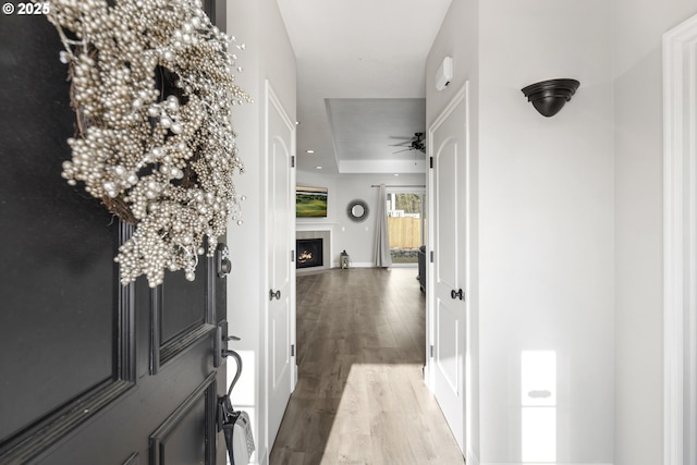 hallway featuring a tray ceiling and wood-type flooring