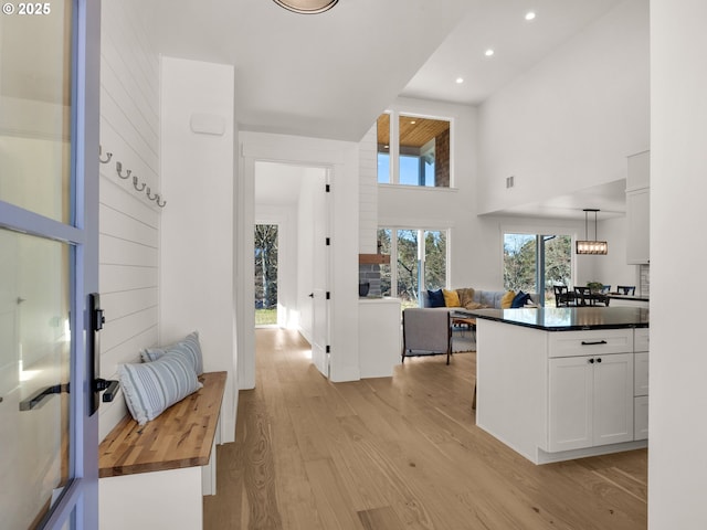 interior space featuring a towering ceiling and light wood-type flooring