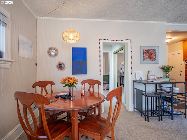 dining room featuring crown molding, carpet flooring, and a textured ceiling