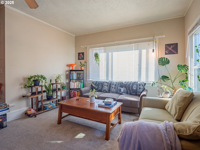 carpeted living room featuring crown molding and a textured ceiling