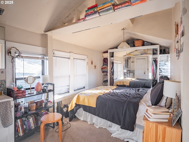 bedroom with vaulted ceiling, carpet, and a closet