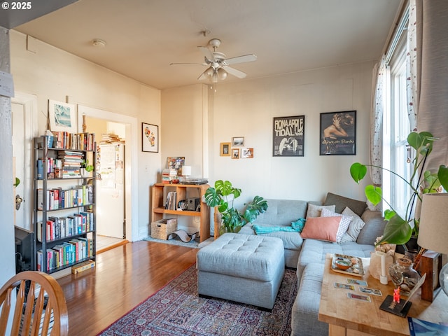 living room with ceiling fan and wood-type flooring