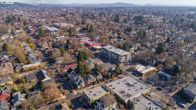 drone / aerial view featuring a mountain view