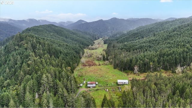 birds eye view of property with a view of trees and a mountain view