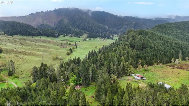 mountain view with a forest view and a rural view