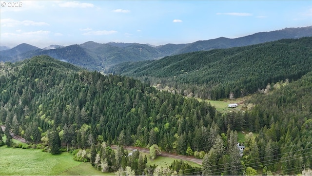 mountain view with a view of trees
