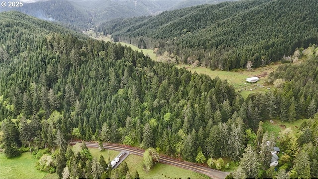 birds eye view of property featuring a forest view and a mountain view