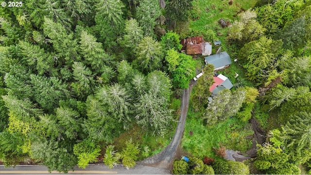 drone / aerial view