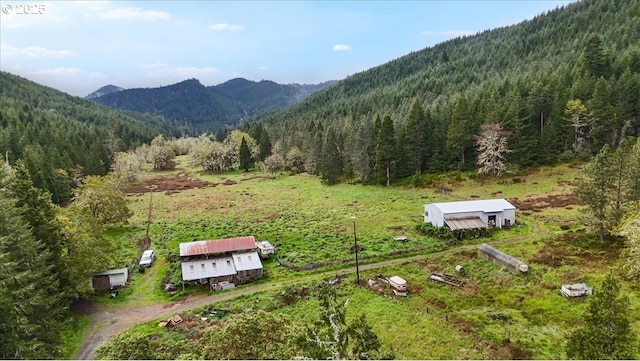 drone / aerial view featuring a mountain view and a forest view