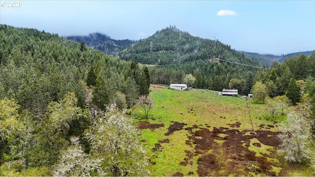 mountain view featuring a forest view