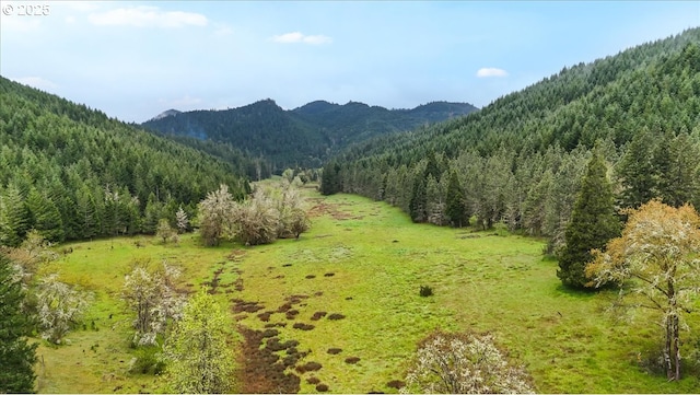 property view of mountains featuring a view of trees