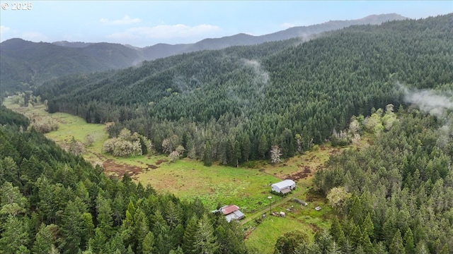 bird's eye view featuring a mountain view and a forest view