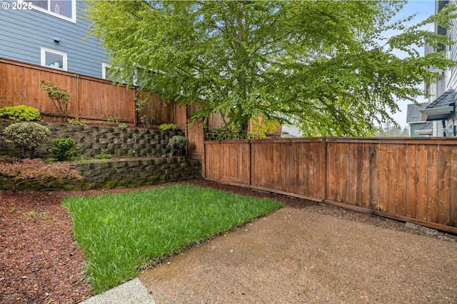 view of yard with a fenced backyard