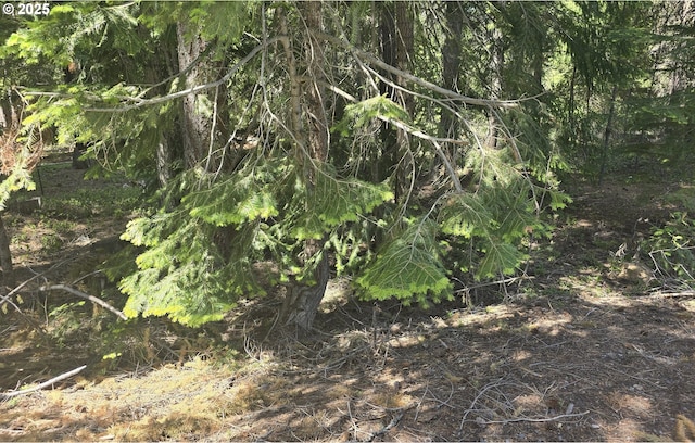 26 Diamond Peak Dr, Crescent Lake, OR 97733