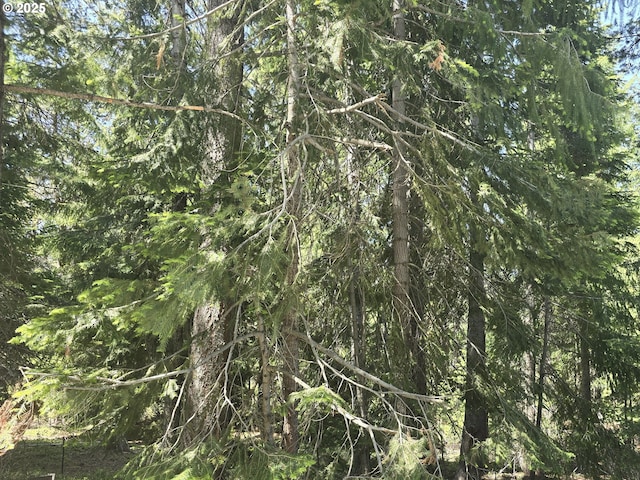 26 Diamond Peak Dr, Crescent Lake, OR 97733