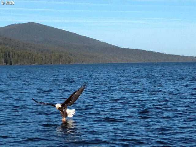 26 Diamond Peak Dr, Crescent Lake, OR 97733