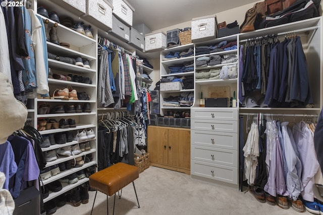 10137 SW Lancaster Rd, Portland, OR 97219 - walk in closet featuring light carpet