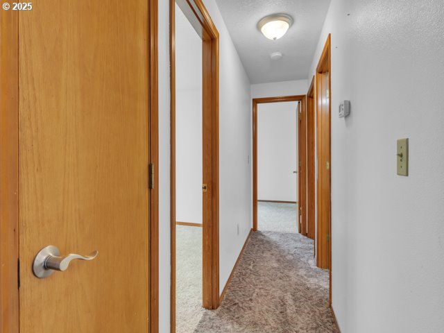 hallway featuring carpet floors, baseboards, and a textured ceiling