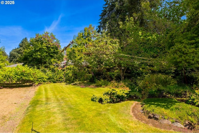 1439 Barton St, Eugene, OR 97404 - view of green lawn
