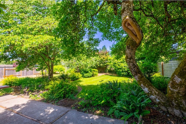 1439 Barton St, Eugene, OR 97404 - view of yard