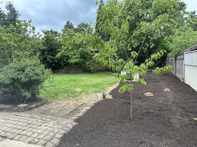 14237 SE Lee Ave, Milwaukie, OR 97267 - view of yard