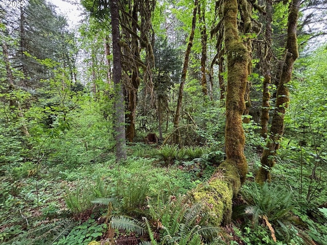 56294 Hall Dr, Mckenzie Bridge, OR 97413 - view of woods