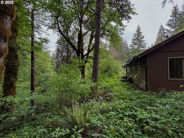 56294 Hall Dr, Mckenzie Bridge, OR 97413 - view of yard